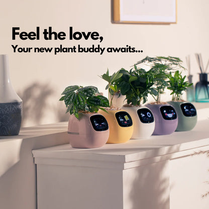 EcoMood Planter - Senin Akıllı AI Bitki Yoldaşın 🌱