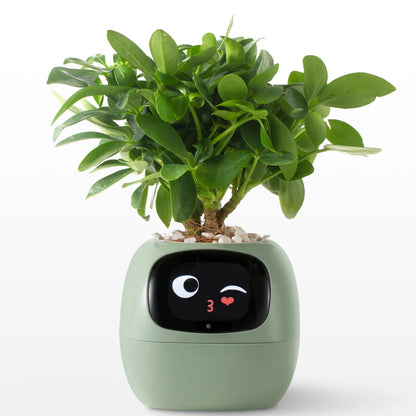 EcoMood Planter - Senin Akıllı AI Bitki Yoldaşın 🌱