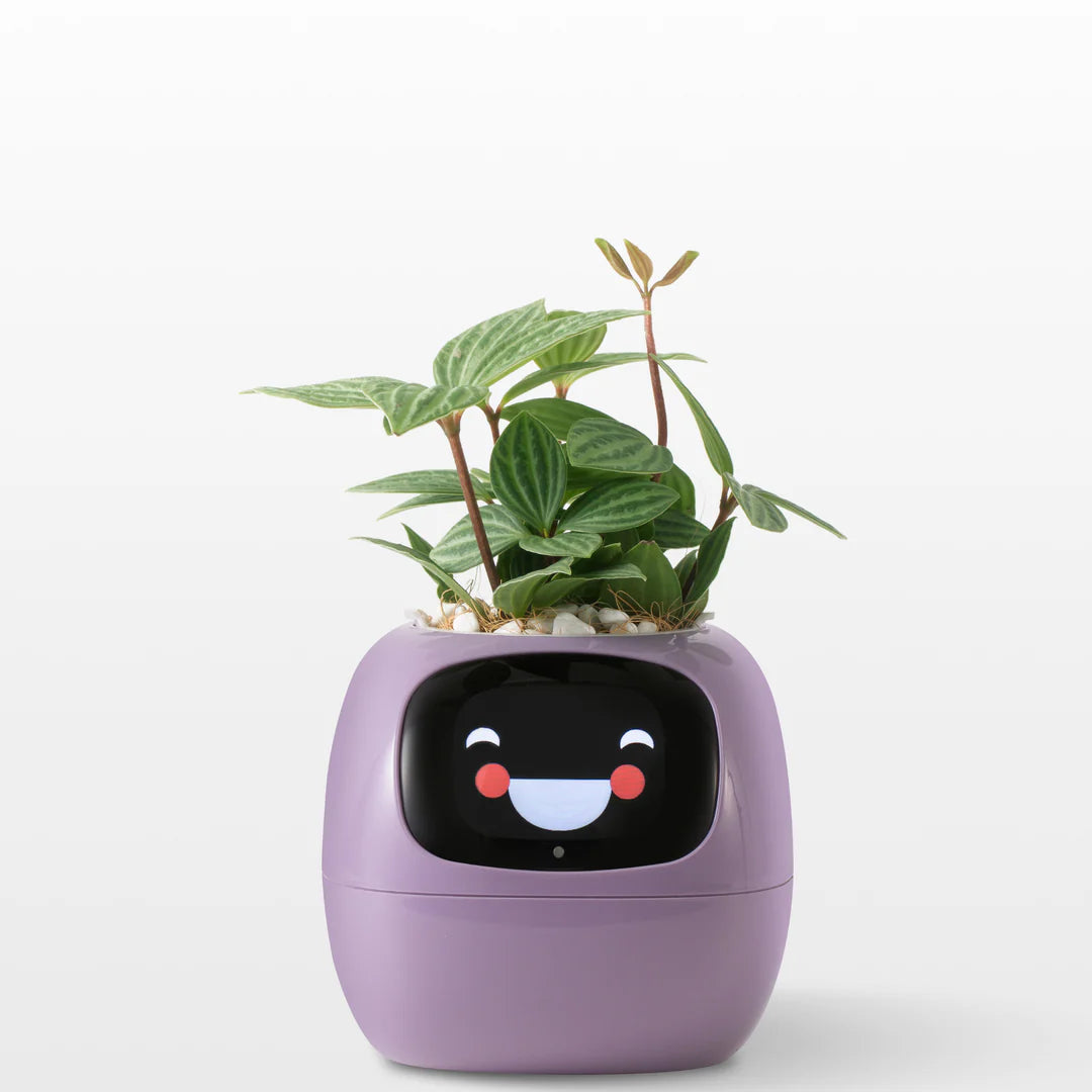 EcoMood Planter - Senin Akıllı AI Bitki Yoldaşın 🌱