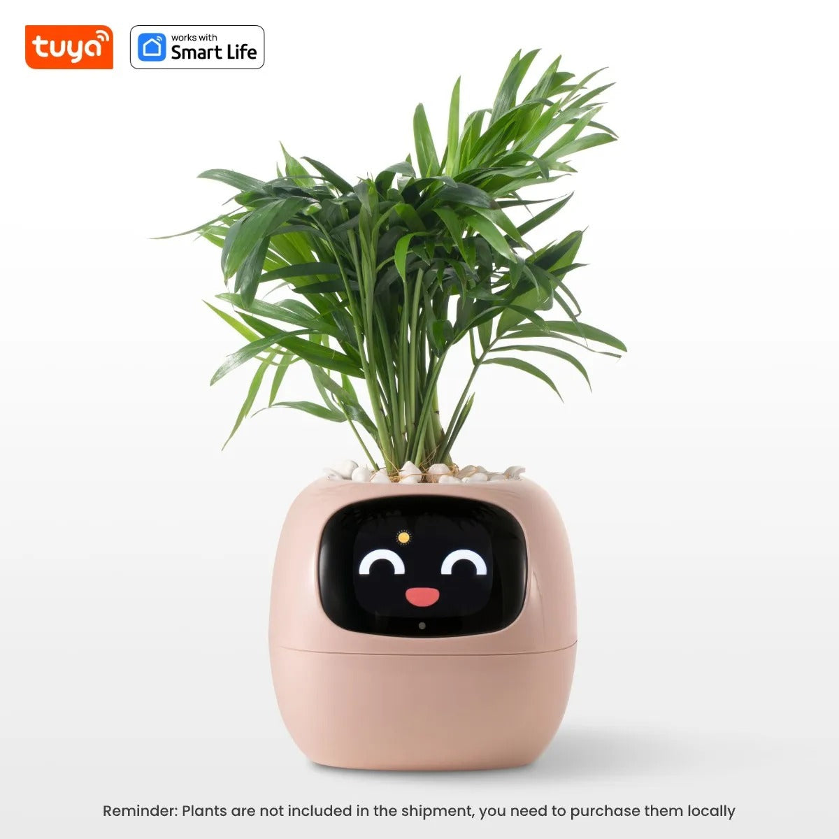 EcoMood Planter - Senin Akıllı AI Bitki Yoldaşın 🌱