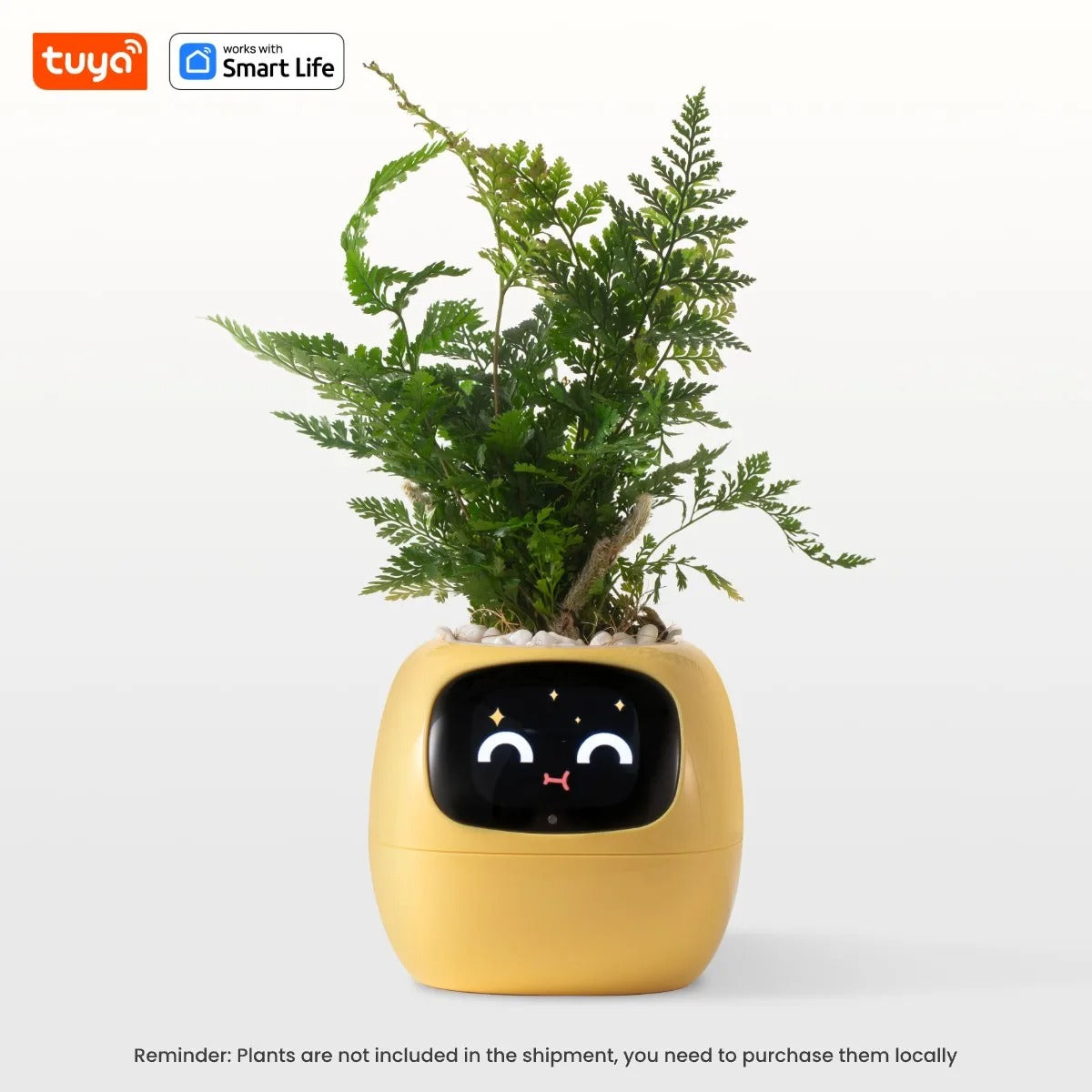 EcoMood Planter - Senin Akıllı AI Bitki Yoldaşın 🌱