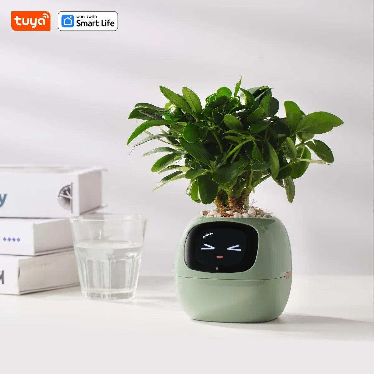 EcoMood Planter - Senin Akıllı AI Bitki Yoldaşın 🌱