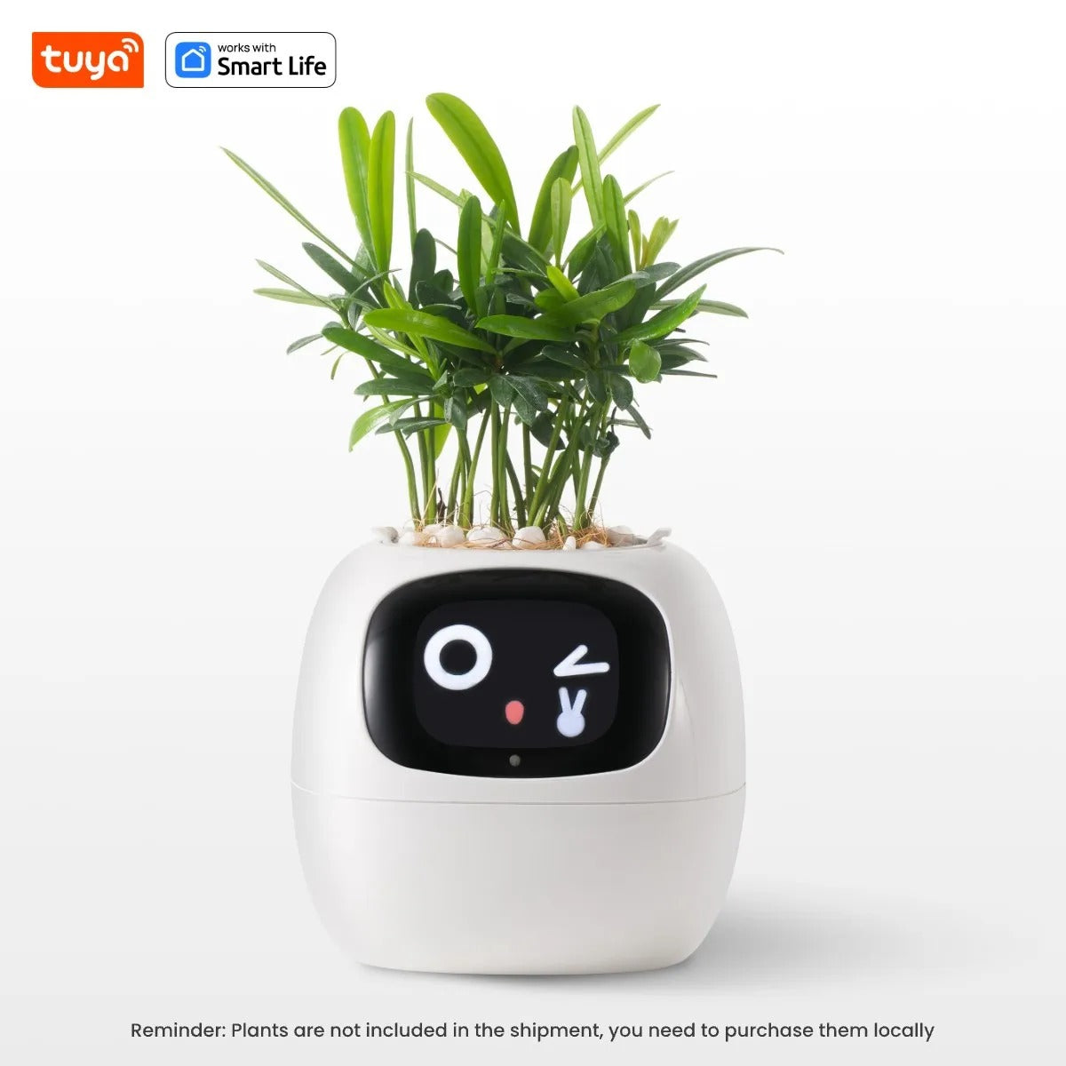 EcoMood Planter - Senin Akıllı AI Bitki Yoldaşın 🌱