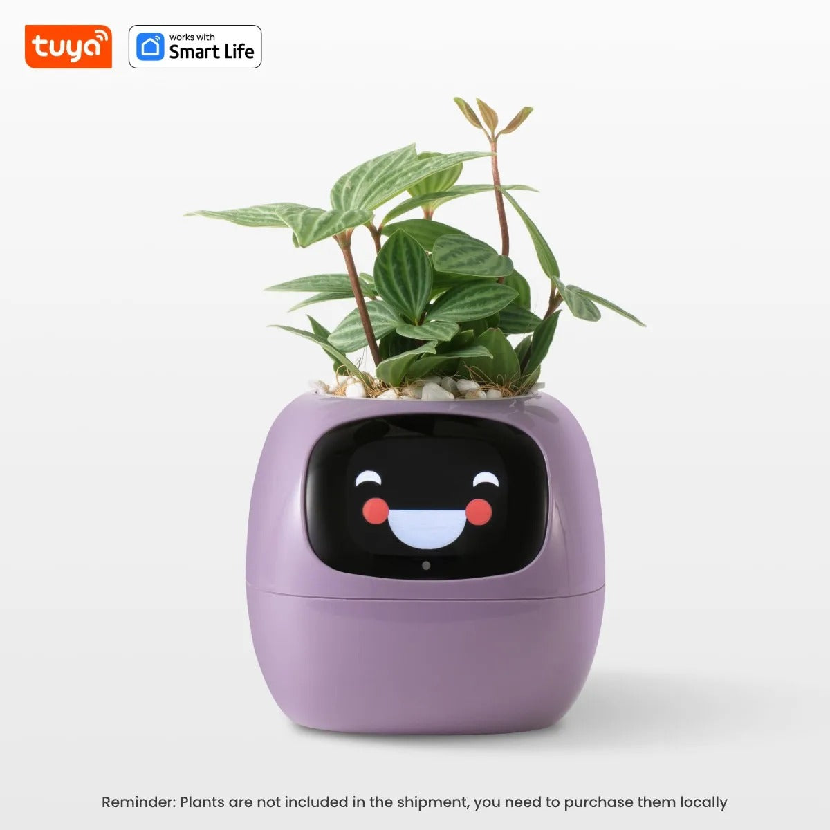 EcoMood Planter - Senin Akıllı AI Bitki Yoldaşın 🌱